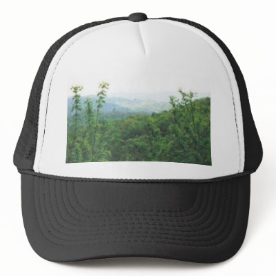 distant view smokies #70 hat by barbsphotos