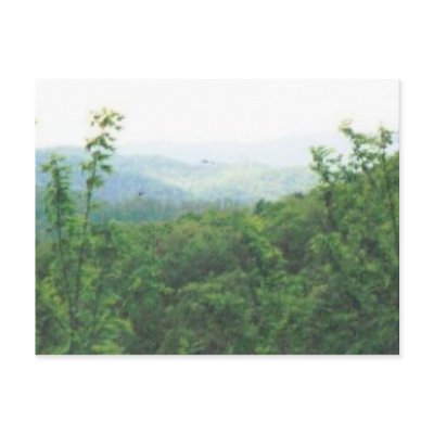 distant view smokies #70 postcard by barbsphotos