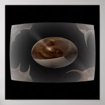 Distortion Print