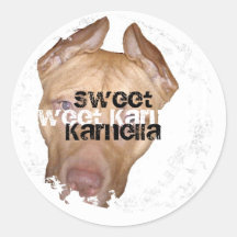 Distressed 2 Round Stickers