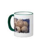 Distressed Border 2-sided Ringer Mug