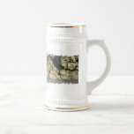 Distressed Border Stein mugs