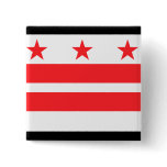 DISTRICT OF COLUMBIA PINS