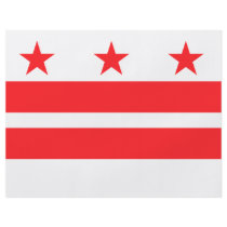DISTRICT OF COLUMBIA FLYER DESIGN