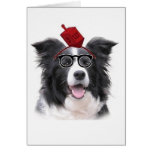 Ditzy Dogs~Original Greeting Card~Border Collie