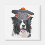 Ditzy Dogs~Original Magnet~Border Collie
