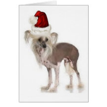 Ditzy Dogs~Original Notecard~Chinese Crested