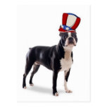 Ditzy Dogs~Original Postcard~Boston Terrier