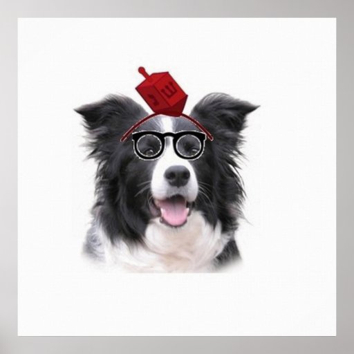 Ditzy Dogs~Original Poster~Border Collie