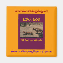 DIVA DOG & Doxie Elmer Refrigerator Magnet