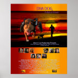 DIVA DOG Poster Basic 23"x28.75" posters