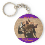 DIVA DOG Rollin' in Style Key Chain