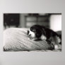 Diva Posters