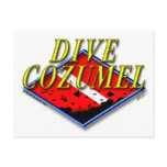 Dive Cozumel Postcard