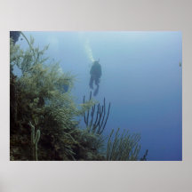 Diver in  the Blue Posters