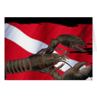Divers Flag Critter Collection by DiversDen