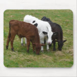 Diversity - Multicolored Cattle mousepads