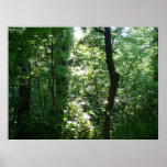 Diversity Print