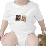 DiversityDivided110709 copy Bodysuits