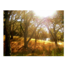 Divine Inspiration Post Card