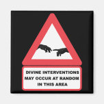 Divine Interventions Magnets