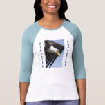 Diving Bald Eagle Wildlife Supporter Ladies Shirt