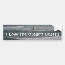 Diving Brown Pelican Bumper Sticker