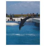 Diving Dolphin Flyer Design