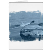 Diving Dolphin Greeting Card