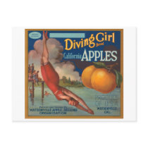 Diving Girl Brand California Apples Fruit Crate La Post Cards