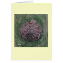 Dixie napping cards