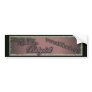DJ Babydoll Friday Night Delight Bumper Sticker