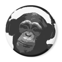 DJ MONKEY MAGNETS