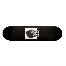 DJ SKATEBOARDS