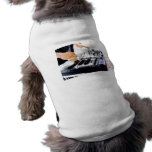 DJ SYSTEM DOGGIE TEE SHIRT