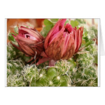 DL000111-1 GREETING CARD