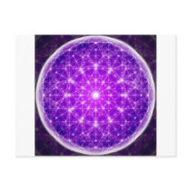 D'Light Full Mandala Postcards