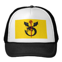 Dlouha Trebova Cz, Czech Republic flag Hats
