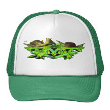 DMT SPIRITUAL GRAFFITI-CHERUBS-11:11-ltd edit- Hats