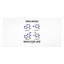 DNA Bases Basis For Life (Chemistry Molecules) Picture Card
