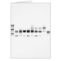 DNA Gel Card