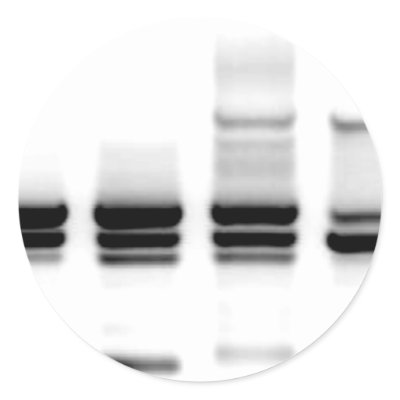 DNA Gel Round Sticker by SuperBug