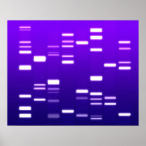 DNA Genetic Code Purple Posters