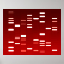 DNA Genetic Code Red Print