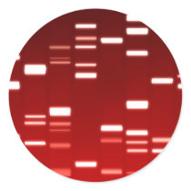 DNA Genetic Code Red Round Stickers