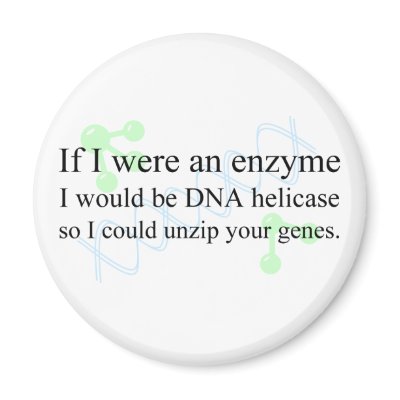 "DNA Helicase" by jimdandys