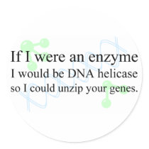"DNA Helicase"
