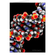 DNA molecule. Molecular model of DNA Cards