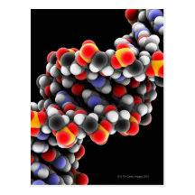 DNA molecule. Molecular model of DNA Post Card