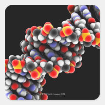 DNA molecule. Molecular model of DNA Stickers
